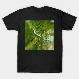 Green trees roof background T-Shirt